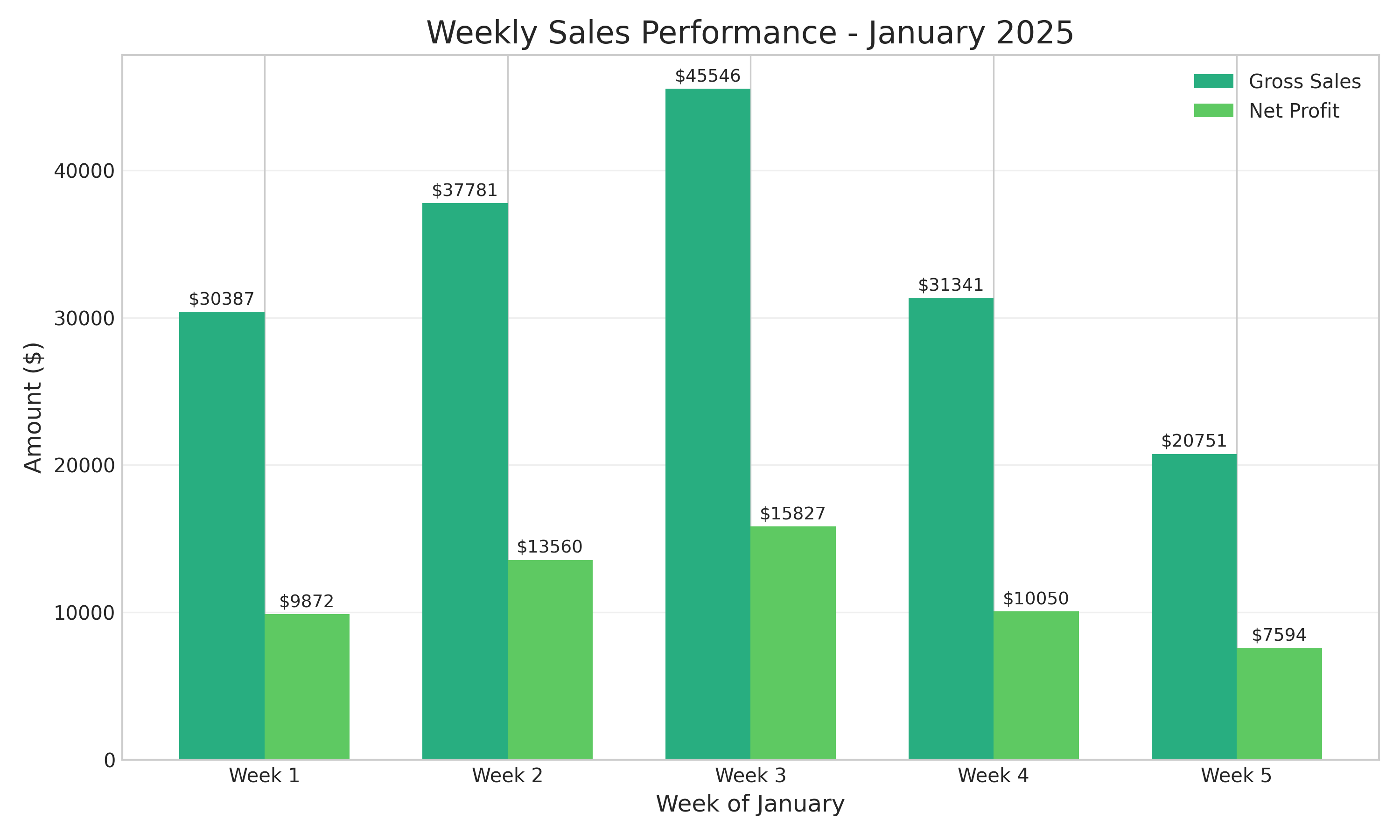 Weekly Sales Performance - January 2025