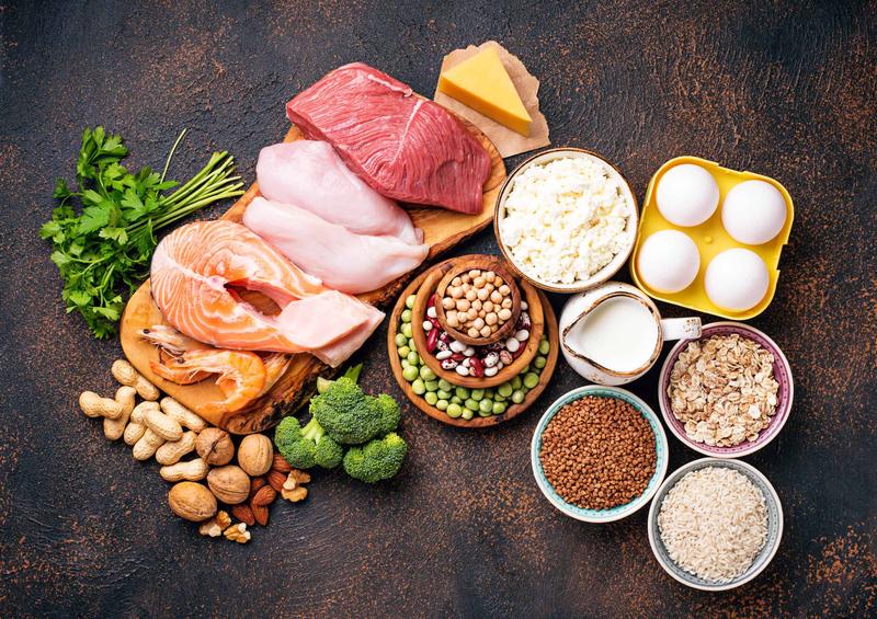 Protein Foods