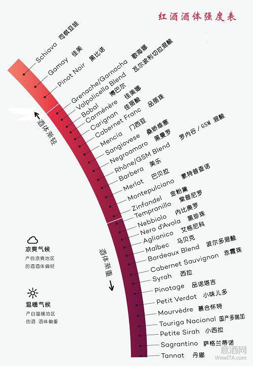 主要红葡萄品种风格图解